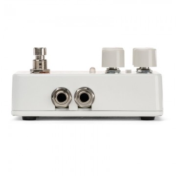 Electro Harmonix Canyon Delay & Looper