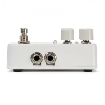 Electro Harmonix Canyon Delay & Looper