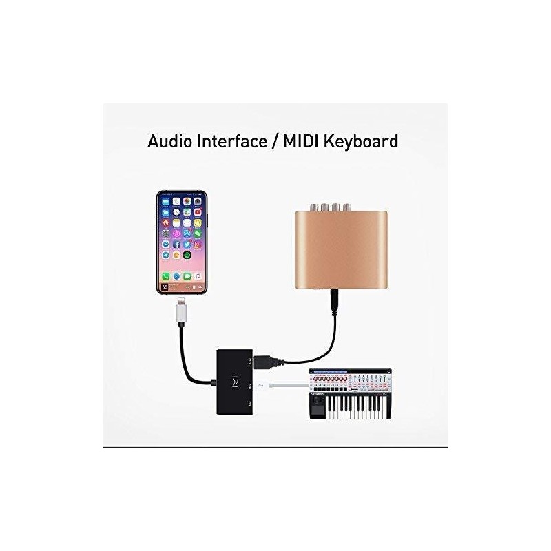 Cable Adaptador USB 2.0 Interfaz Audio OTG2