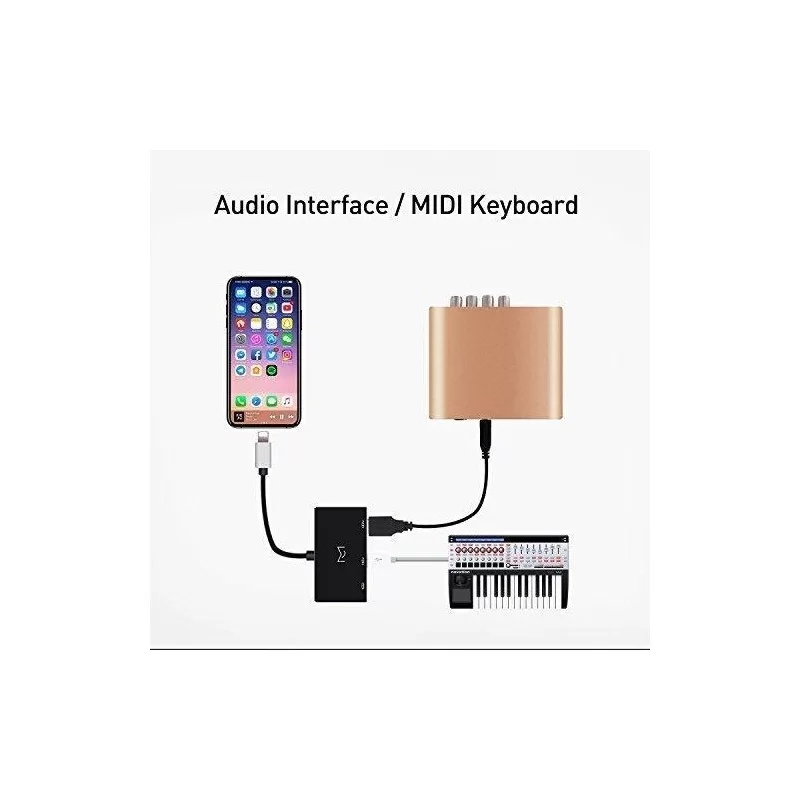 Cable Adaptador USB 2.0 Interfaz Audio OTG2