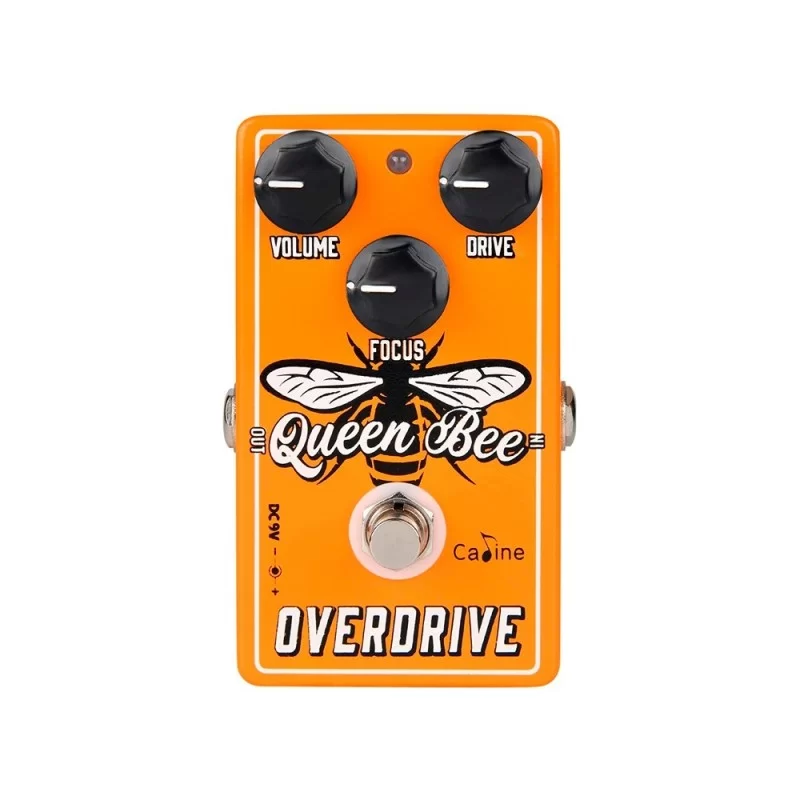 Caline CP-503 Queen Bee Overdrive