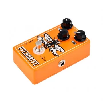 Caline CP-503 Queen Bee Overdrive