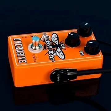 Caline CP-503 Queen Bee Overdrive