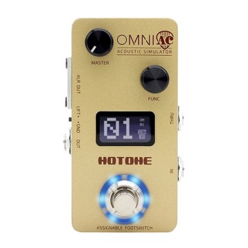 Hotone Omni AC (DESC)