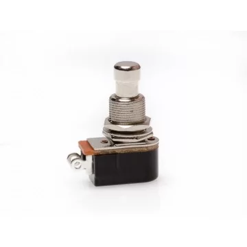 Switch Momentáneo (2 pines)