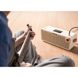 Hotone Pulze Luna 30W