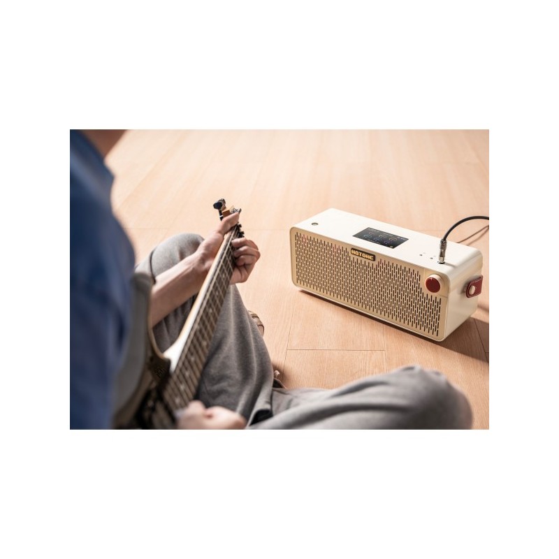 Hotone Pulze Luna 30W