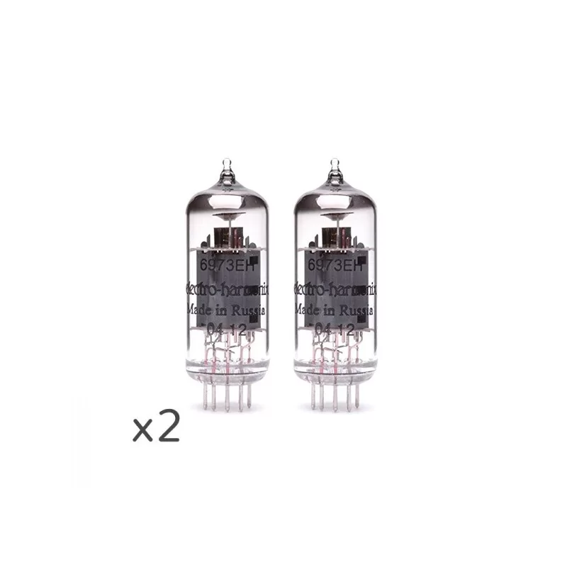 Electro-Harmonix 6973 Platinum Matched Pair