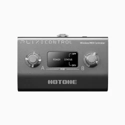 Hotone Pulze Control